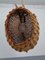 French Handmade Wicker Fish Ceiling Lamp, 1960s 10