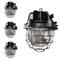Industrial Globe Pendant Lamps in Cast Iron, 1960, Set of 4 9