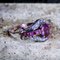 Edwardian Ruby and Diamond Cluster Ring, 1910s, Image 6