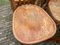 French Baumann Bistro Chairs, 1950s, Set of 7, Image 10