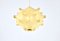 Taraxacum Hanging Lamp attributed to Achille & Pier Giacomo Castiglioni for Flos, 1960s 3