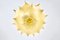 Taraxacum Hanging Lamp attributed to Achille & Pier Giacomo Castiglioni for Flos, 1960s 5
