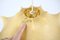 Taraxacum Hanging Lamp attributed to Achille & Pier Giacomo Castiglioni for Flos, 1960s 9