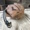 Antique Japanese Oni Dorei Bell with Dual Faces, 1920s, Image 21