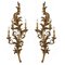 Large Florentine Louis XV Wall Lights in Carved and Gilded, Set of 2, Image 1
