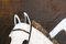 Rubins J. Spaans, Albert on Horseback, 2025, Oil on Linen Canvas 9