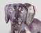 Vintage Danish Sculpture of Dachshund by Søren Kongstrand, 1917, Image 6