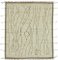 Modern Beige Tribal Rug, Image 1
