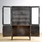 Polierter Arztschrank, 1970er 4