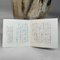 Mid-Century Shigaraki Vase with Teoke Handle, 1960s 17