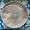 French Majolica Fish Plates and Platter from Sarreguemines, 1970s, Set of 7 3