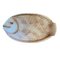 French Majolica Fish Plates and Platter from Sarreguemines, 1970s, Set of 7 2