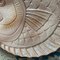 French Majolica Fish Plates and Platter from Sarreguemines, 1970s, Set of 7 5