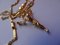 Necklace and Bracelet with Christ of Saint John of the Cross after Salvador Dali, Set of 2, Image 1