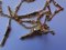 Necklace and Bracelet with Christ of Saint John of the Cross after Salvador Dali, Set of 2, Image 4