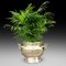 antique Victorian Brass Planter, Image 2