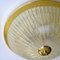Große Glas Deckenlampe von Honsel, 1960er 8