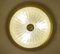 Große Glas Deckenlampe von Honsel, 1960er 15