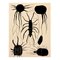 Moderner rechteckiger Insectu Teppich in Schwarz und Weiß von Tapis Studio für Hommés Studio 4