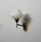 Mid-Century Modern Italian Wall Sconce in Brass and Opaline Glass, 1950s 1