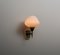 Mid-Century Modern Italian Wall Sconce in Brass and Opaline Glass, 1950s 5