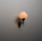 Mid-Century Modern Italian Wall Sconce in Brass and Opaline Glass, 1950s 2