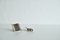 Clips-on Earrings by Nanna Ditzel for Georg Jensen, Set of 2 7