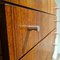 Meuble de Salon VSJ-125 par Kurt Gunther & Horst Brechtmann pour Fristho, 1960 15