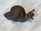 Escargot Victorien en Fonte 1