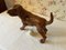 Figurine Victorienne en Fonte d'un Chien Labrador 4