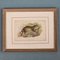 Richard Bowdler Sharpe, Felines, 1896, Lithographs, Framed, Set of 4 15
