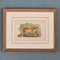 Richard Bowdler Sharpe, Felines, 1896, Lithographs, Framed, Set of 4 9