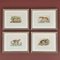 Richard Bowdler Sharpe, Felines, 1896, Lithographs, Framed, Set of 4 1