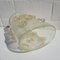Grand Vase Star de Ercole Barovier Toso 32