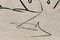 Salvador Dali, Eusthenes de Les Songes Drôlatiques de Pantagruel, Litografía grande original, 1973, Imagen 9