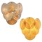 Wall Sconces Murano Discs, 1990s, Set of 2 1
