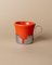 Vintage Coffee Set, 1970s, Set of 24 5