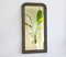 Large Antique French Arched Wooden Mirror 2