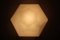 Anthroposophical Wall Light, 1980 4