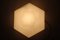 Anthroposophical Wall Light, 1980 1
