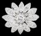 Vintage Flower Ring in 18 Carat Gold and Diamonds 1