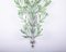 Large Green Wrought Iron Wall Sconces with Flowers, 1950s, Set of 2 7
