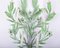 Grandes Appliques Murales Vertes en Fer Forgé avec Fleurs, 1950s, Set de 2 6
