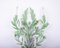 Grandes Appliques Murales Vertes en Fer Forgé avec Fleurs, 1950s, Set de 2 8