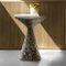 Sculptural Live Edge Bedside Table or Accent Table by Donatas 7