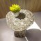 Sculptural Live Edge Bedside Table or Accent Table by Donatas 8