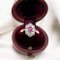 Marguerite Ring aus Gold, Diamanten und Rubin, 1900er 2