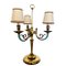 French Louis XVI Style Bouillotte Table Lamp, 1920 1