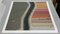 Bernhard Lang, AV_Tulip_Fields_027, Photographic Print 5