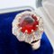 Antiker Marguerite Ring aus Gold, Granat und Diamanten, 1910 4